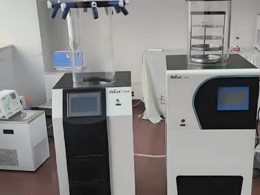 Homemade Freeze Dryer | Shaanxi Achieve chem-tech Homemade Freeze Dryer | Shaanxi Achieve chem-tech